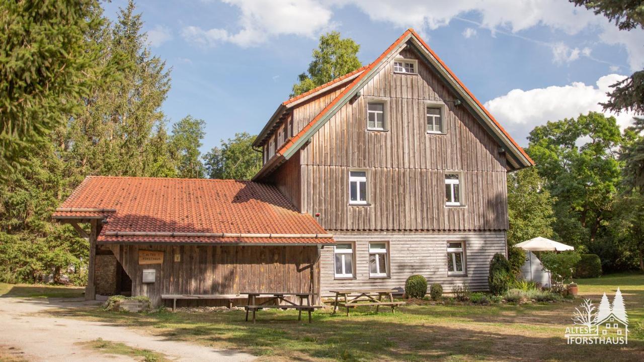 エルビンガーオーデAltes Forsthaus Im Harzアパートメント エクステリア 写真